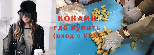 сатива Арсеньев