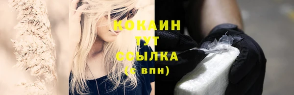 сатива Арсеньев