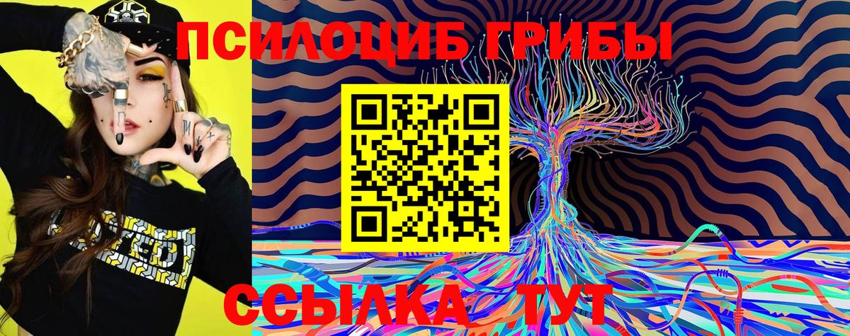Псилоцибиновые грибы прущие грибы Джанкой